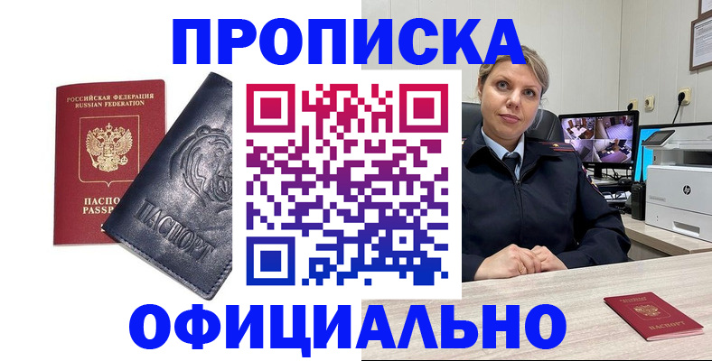 где прописаться в Ельне